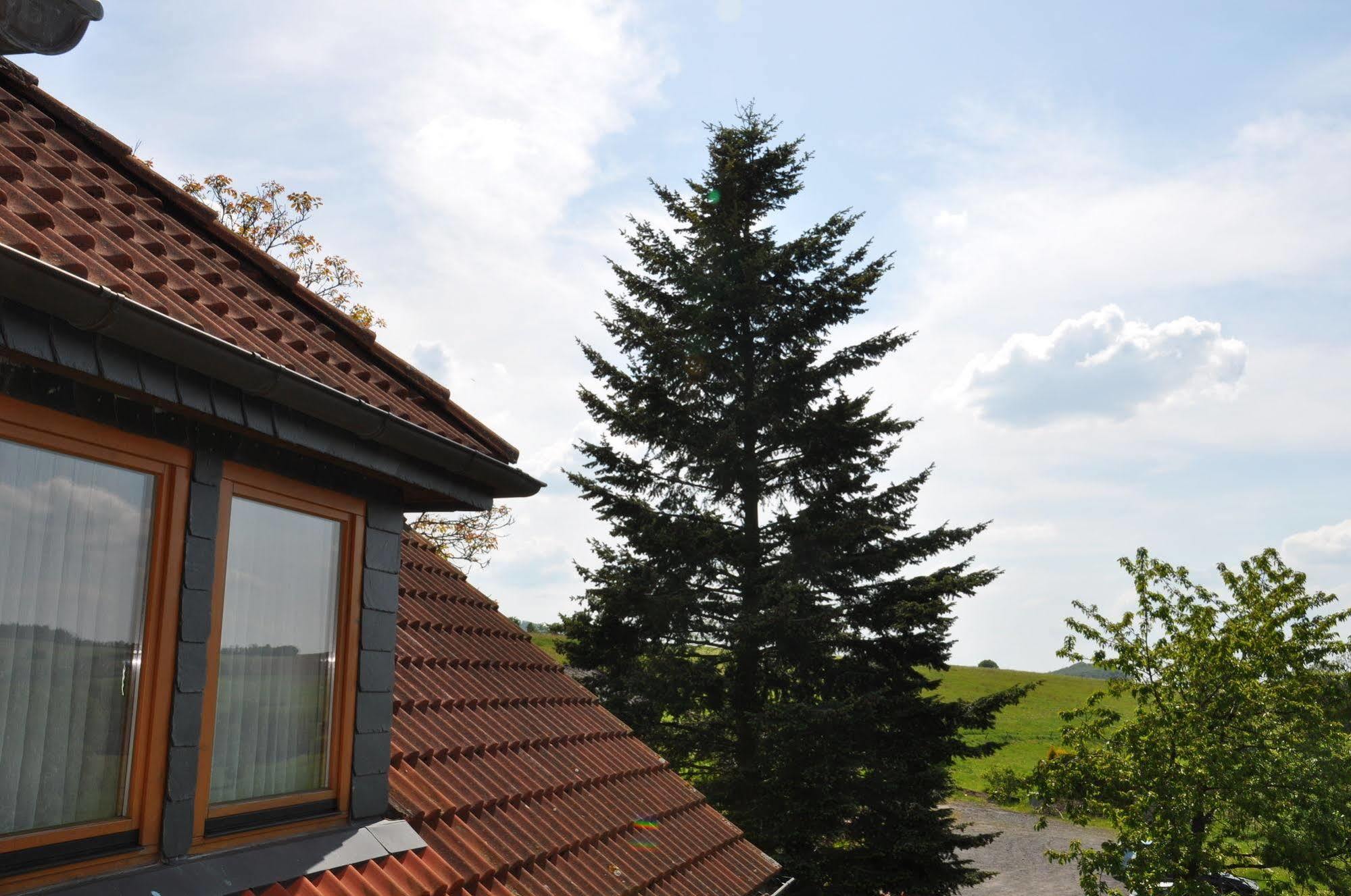 Rhoen-Hotel Sonnenhof - Restaurant & Cafe Poppenhausen Bagian luar foto